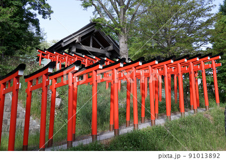 鳥居,神社,神社仏閣,小樽,住吉神社,観光名所,寺社仏閣,境内,参拝,参道、お参り、稲荷 鳥居,神社,神社仏閣,小樽,住吉神社,観光名所,寺社仏閣,境内,参拝,参道、お参り、稲荷 91013892