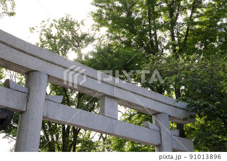 鳥居,神社,神社仏閣,小樽,住吉神社,観光名所,寺社仏閣,境内,参拝,参道、お参り、稲荷 鳥居,神社,神社仏閣,小樽,住吉神社,観光名所,寺社仏閣,境内,参拝,参道、お参り、稲荷 91013896