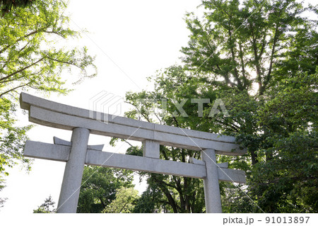 鳥居,神社,神社仏閣,小樽,住吉神社,観光名所,寺社仏閣,境内,参拝,参道、お参り、稲荷 91013897
