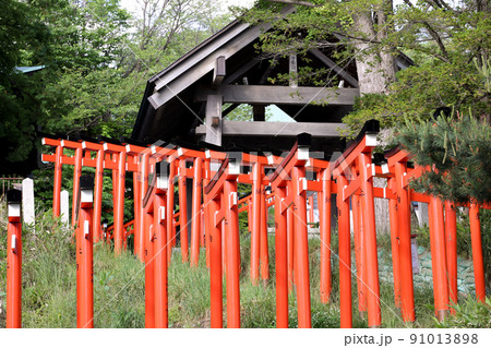 鳥居,神社,神社仏閣,小樽,住吉神社,観光名所,寺社仏閣,境内,参拝,参道、お参り、稲荷 鳥居,神社,神社仏閣,小樽,住吉神社,観光名所,寺社仏閣,境内,参拝,参道、お参り、稲荷 91013898