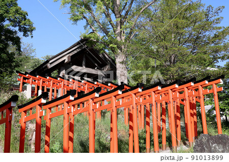 鳥居,神社,神社仏閣,小樽,住吉神社,観光名所,寺社仏閣,境内,参拝,参道、お参り、稲荷 鳥居,神社,神社仏閣,小樽,住吉神社,観光名所,寺社仏閣,境内,参拝,参道、お参り、稲荷 91013899