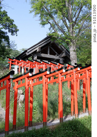 鳥居,神社,神社仏閣,小樽,住吉神社,観光名所,寺社仏閣,境内,参拝,参道、お参り、稲荷 鳥居,神社,神社仏閣,小樽,住吉神社,観光名所,寺社仏閣,境内,参拝,参道、お参り、稲荷 91013900