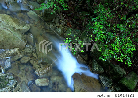 水の流れと緑が美しい野呂川 91014231