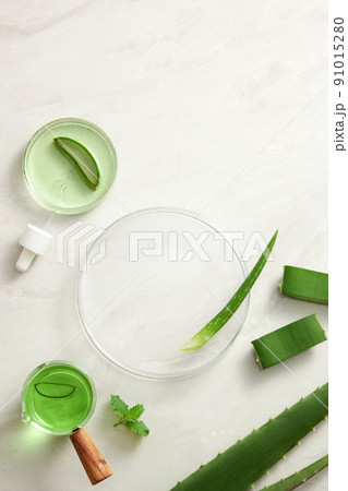 Aloe vera extract research in laboratory with a petri dish dropper in white background for aloe vera research advertising , photography science content 91015280