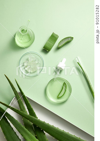 Aloe vera extract research in laboratory with a petri dish dropper in light green background for aloe vera research advertising , photography science content , top view 91015282