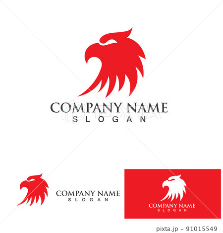 Eagle icon logo design vector template Eagle icon logo design vector template 91015549