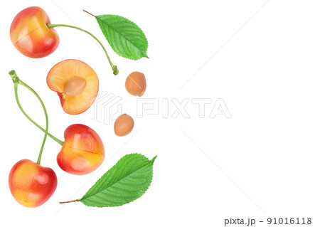 yellow-red sweet cherry isolated on white background. Top view with copy space for your text. Flat lay 91016118