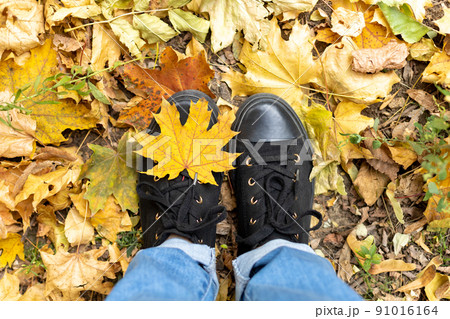 legs in black sneakers and blue jeans on a background of yellow maple leaves. Top view legs in black sneakers and blue jeans on a background of yellow maple leaves. Top view 91016164