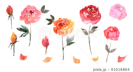 Watercolor hand painted floral set. Pink roses. High quality illustration 91016864