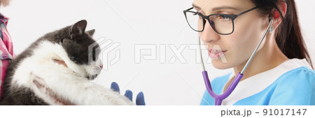 Veterinarian woman examine domestic pet with stethoscope tool listen to heartbeat 91017147