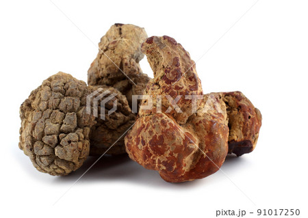 Unusual poo fossil, mineral sample 91017250