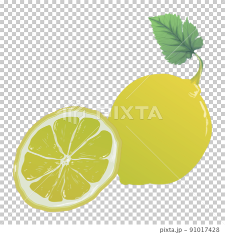 Bergamot [Aroma] 91017428