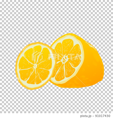 Lemon  91017430