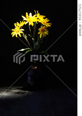 Flowers In Vase Flowers In Vase 91017521