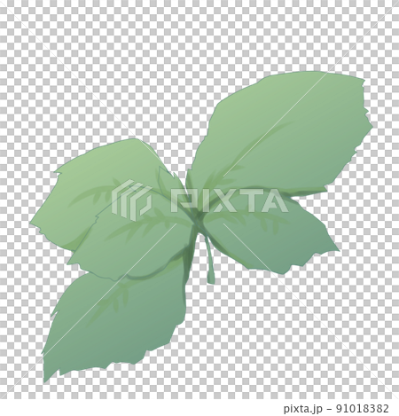 Bachuri [Aroma] 91018382