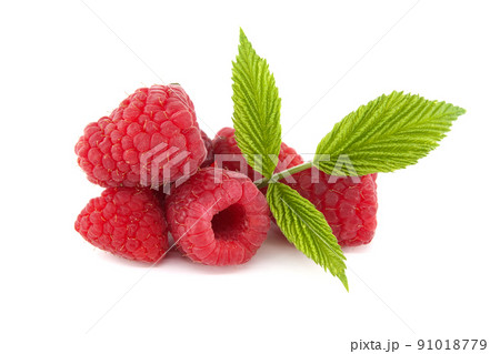 Raspberry berries isolated on white background Raspberry berries isolated on white background 91018779