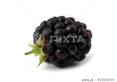 Blackberry isolated on white 91019254