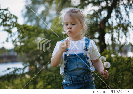 Pretty little girl blowing off dandelion seeds on sunset in summer park. Image with selective focus Pretty little girl blowing off dandelion seeds on sunset in summer park. Image with selective focus 91020413