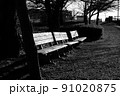 桜並木の下のベンチ風景 91020875