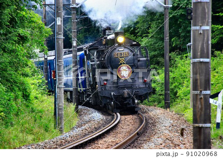 新緑のトンネルを抜けて…鬼怒川路を力走するSL大樹 新緑のトンネルを抜けて…鬼怒川路を力走するSL大樹 91020968