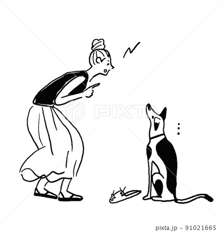 犬のしつけをする女性　犬　いたずら 91021665
