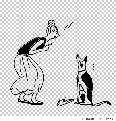 犬のしつけをする女性　犬　いたずら 91021665