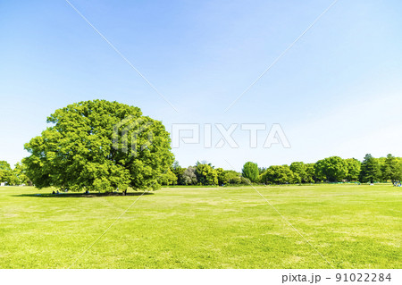 緑と青空の広がる風景 緑と青空の広がる風景 91022284
