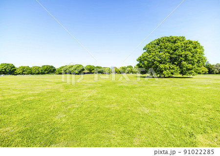 緑と青空の広がる風景 91022285