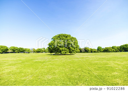 緑と青空の広がる風景 91022286