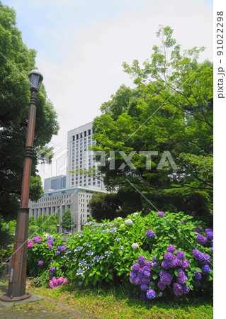 6月　千代田1074アジサイ(紫陽花)と第一生命日比谷ファースト(旧第一生命館)･日比谷公園 91022298