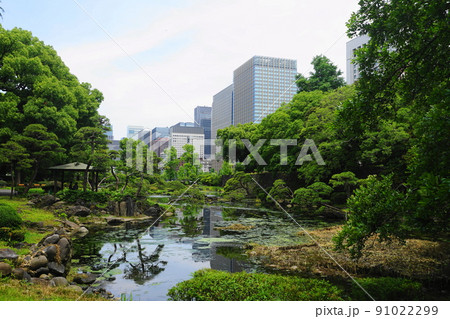 6月　千代田1075心字池と第一生命日比谷ファースト(旧第一生命館)･日比谷公園 91022299