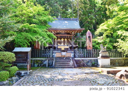 京都 今宮神社 織姫社 91022341