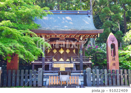 京都 今宮神社 織姫社 京都 今宮神社 織姫社 91022409
