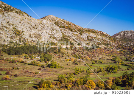 Beautiful autumn view on the yellow trees, Montenegro 91022605