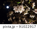 夜桜と月 91022917