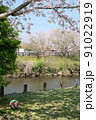 バレーボールと桜が咲く公園 91022919
