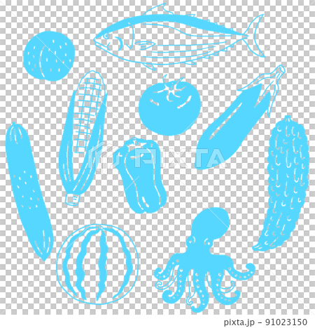 Vector illustration of summer seasonal ingredients Vector illustration of summer seasonal ingredients 91023150