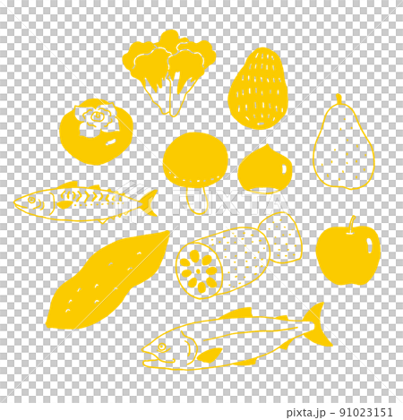 Vector illustration of autumn season ingredients Vector illustration of autumn season ingredients 91023151