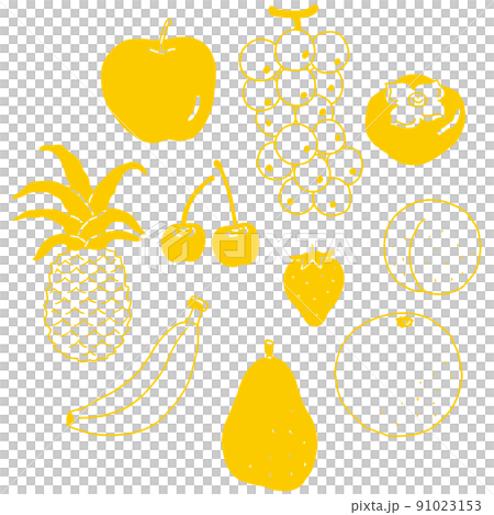 季節の果物のベクターイラスト 91023153