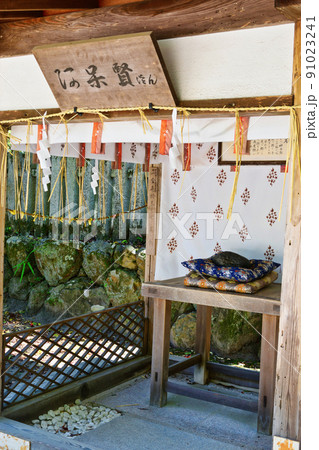 京都 今宮神社 今宮の奇石 阿呆賢さん　あほかしさん 91023241