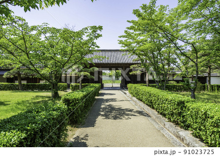丸亀城　玄関先御門　香川県丸亀市 91023725