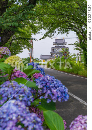 墨俣一夜城、満開のあじさい〈岐阜県大垣市〉 墨俣一夜城、満開のあじさい〈岐阜県大垣市〉 91024380