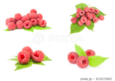 Collection of raspberry fruit isolated on white 91025662