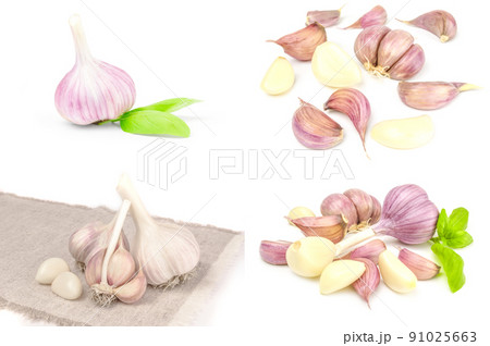 Set of Garlic on a white background. Clipping path Set of Garlic on a white background. Clipping path 91025663