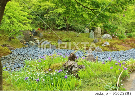 青もみじの名所　夏の宝厳院庭園 91025893