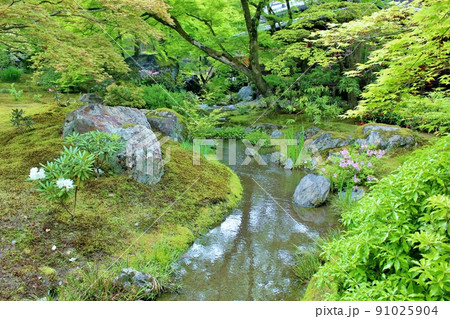 青もみじの名所　夏の宝厳院庭園 91025904