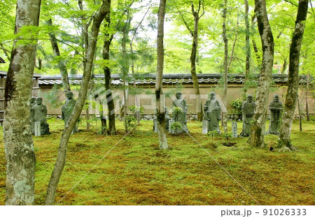 青もみじの名所　夏の宝厳院庭園 91026333