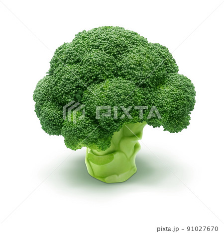 ブロッコリー イラスト リアル  91027670