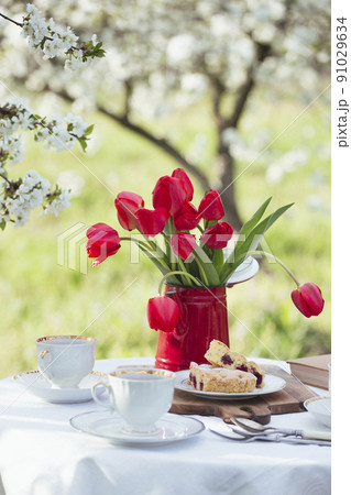 breakfast in the spring garden 91029634