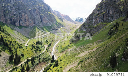 High rocks in a green gorge. View from a drone. 91029751